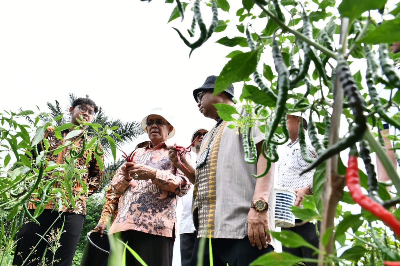 Pj Wali Kota Tinjau Kebun Warga Program Bank Indonesia